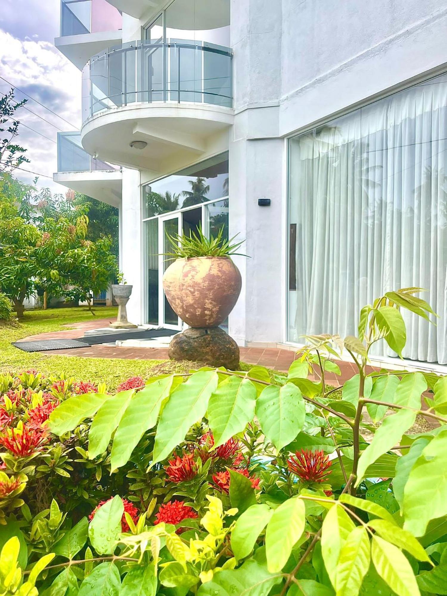 Amaya Beach Hotel Dikwella Екстер'єр фото